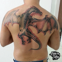 dragao