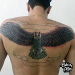 gaviao